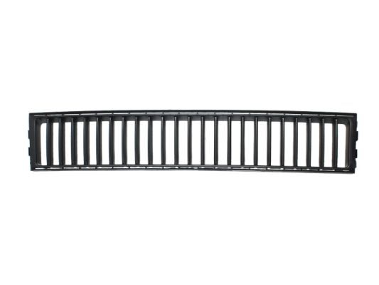 SKODA Vent Grille; Lower Centre